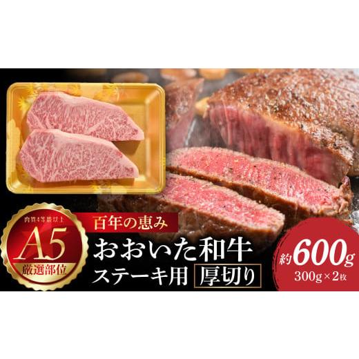 ふるさと納税 牛肉 サーロイン 大分県 大分市 お歳暮 ギフト のし 対応可 百年の恵み おおいた和牛A5 ステーキ用厚切り 厳選部位 約600g[12月13日〜20日内に…