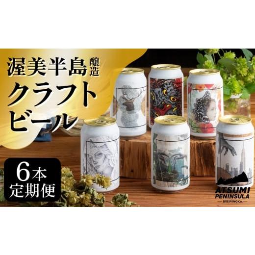 ふるさと納税 ビール 地ビール 愛知県 田原市 渥美半島醸造ブリュワーズセレクト6本 定期便3回