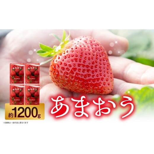 ふるさと納税 いちご 福岡県 八女市 苺(あまおう)4パック入り(300〜350g) いちご 苺 イチゴ 旬 あまおう ブランド くだもの 福岡県 八女市