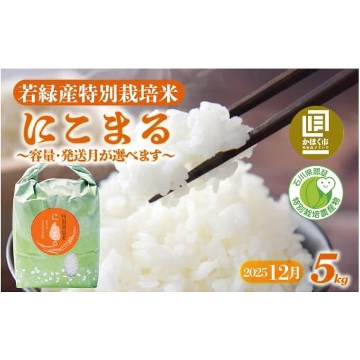 ふるさと納税 米 にこまる 石川県 かほく市 先行予約 令和7年産 若緑産 特別栽培米「にこまる」5kg 2025年12月配送 12月配送