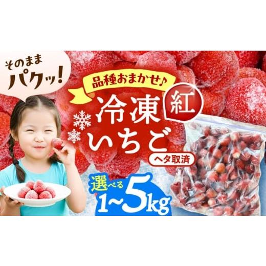 ふるさと納税 いちご 愛知県 愛西市 冷凍苺 1kg 果物 フルーツ 紅ほっぺ 愛西市 / くぼ苺農園 配達不可:離島