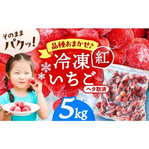 ふるさと納税 いちご 愛知県 愛西市 5kg 冷凍苺 果物 フルーツ 紅ほっぺ 愛西市 / くぼ苺農園 配達不可:離島 AECJ027 5kg