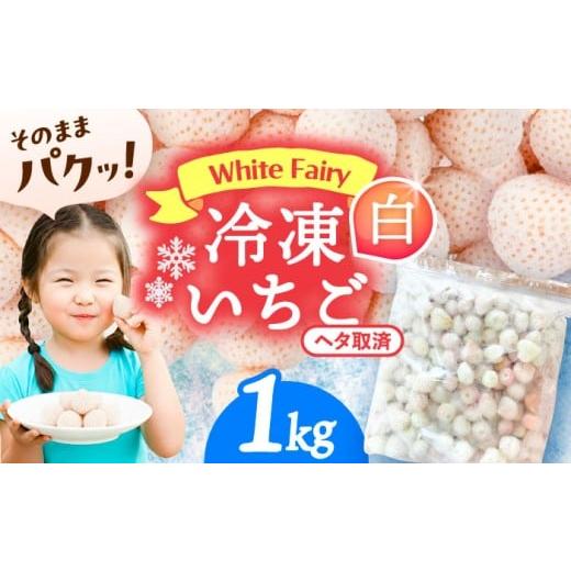 ふるさと納税 いちご 愛知県 愛西市 冷凍白いちご 1kg 果物 フルーツ いちご 愛西市 / くぼ苺農園 配達不可:離島