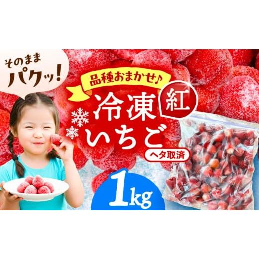 ふるさと納税 いちご 愛知県 愛西市 1kg 冷凍苺 果物 フルーツ 紅ほっぺ 愛西市 / くぼ苺農園 配達不可:離島 AECJ025 1kg