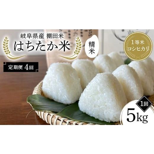 ふるさと納税 米 コシヒカリ 岐阜県 中津川市 4回定期便 岐阜県産 棚田米 1等米コシヒカリ はちたか米 精米5kg