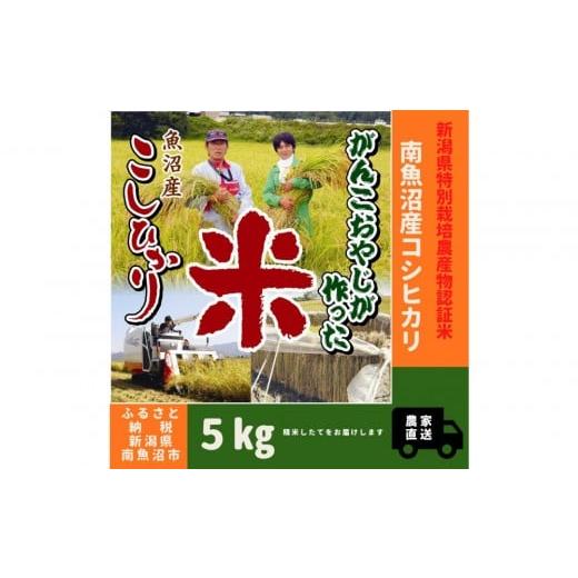 ふるさと納税 米 コシヒカリ 新潟県 南魚沼市 令和7年産新米 特別栽培米 がんこおやじが作った南魚沼産コシヒカリ 白米5kg