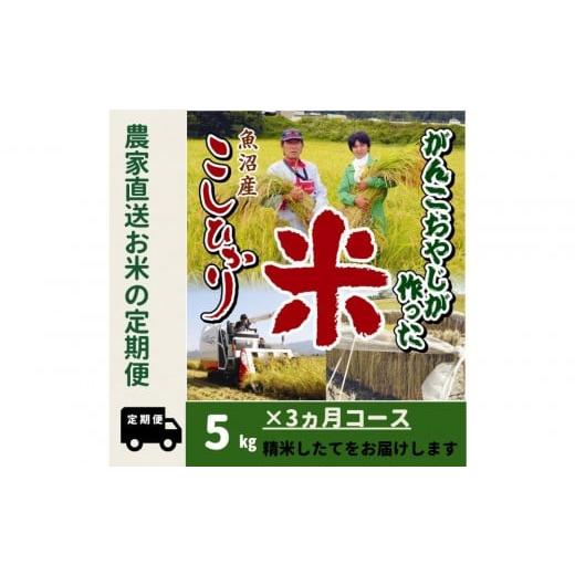 ふるさと納税 米 コシヒカリ 新潟県 南魚沼市 令和7年産新米 3か月定期便 がんこおやじが作った南魚沼産コシヒカリ白米5kg