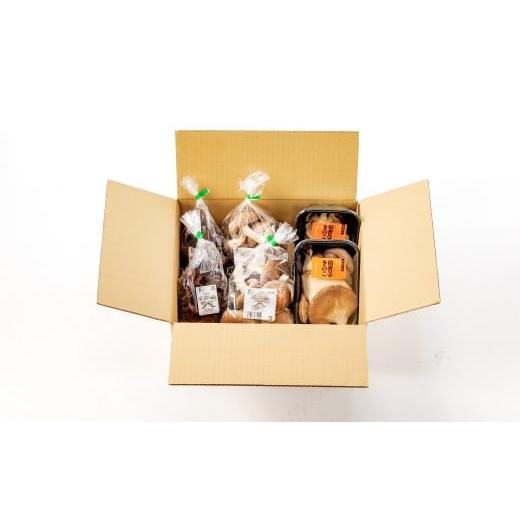 ふるさと納税 野菜類 きのこ 鳥取県 日吉津村 プロが厳選 オーガニックきのこ3種盛り(1kg) しいたけ きくらげ ひらたけ たもぎたけ なめこ 黒あわびたけ やま…