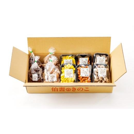 ふるさと納税 野菜類 きのこ 鳥取県 日吉津村 プロが厳選 オーガニックきのこ5種盛り(1.5kg) しいたけ きくらげ ひらたけ たもぎたけ なめこ 黒あわびたけ や…