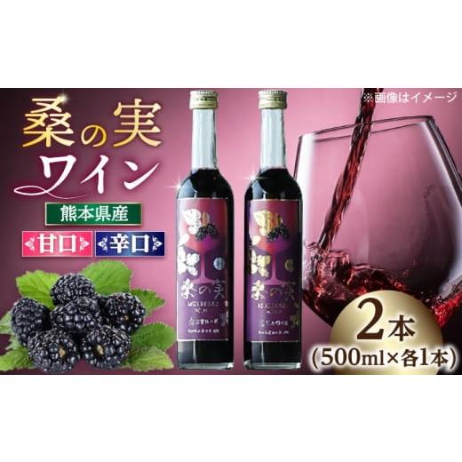 ふるさと納税 ワイン 赤ワイン 熊本県 合志市 桑の実 ワイン (甘口・辛口) 500ml×2本 株式会社 峯樹木園 合志市 熊本県 熟成ワイン ワイン わいん 酒 お酒 …