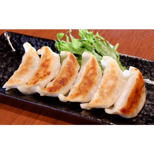 ふるさと納税 牛肉 熊本県 合志市 熊本 和牛 あか牛 ぎょうざセット 60個 有限会社 三協畜産 あか牛 牛肉 餃子 ぎょうざ ギョウザ 和牛 肉 熊本 特産品 AYCQ00…