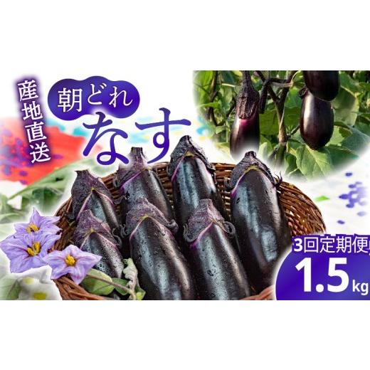 ふるさと納税 野菜類 茄子 高知県 安芸市 3回定期便 朝採れナス 約1.5kg 茄子 ナス 国産 高知 農家直送 野菜 ベジタブル 新鮮 なす 薄皮 焼きナス 美容 健康 …