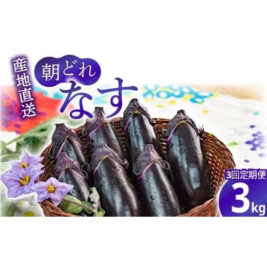ふるさと納税 野菜類 高知県 安芸市 3回定期便 朝採れナス 約3kg 茄子 ナス 国産 高知 農家直送 野菜 ベジタブル 新鮮 なす 薄皮 焼きナス 美容 健康 朝どれ …