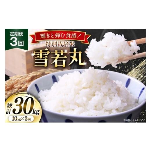 ふるさと納税 米 山形県 高畠町 米 定期便 3回 令和7年産 特別栽培米 雪若丸 10kg (5kg×2) 本田勇仁 山形県 高畠町 tk06bgj910003 お米 白米 精米 ごはん ご…