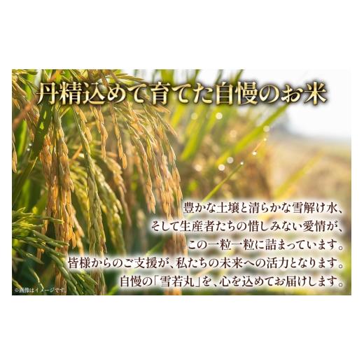 ふるさと納税 米 山形県 高畠町 米 定期便 3回 令和8年産 雪若丸 10kg (5kg×2) 本田勇仁 山形県 高畠町 tk06bgj910003 お米 白米 精米 ごはん ご飯 ブランド…_5