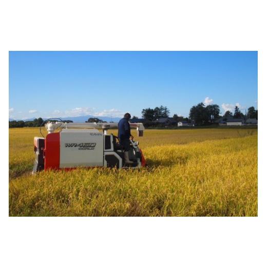 ふるさと納税 米 山形県 高畠町 米 定期便 3回 令和8年産 雪若丸 10kg (5kg×2) 本田勇仁 山形県 高畠町 tk06bgj910003 お米 白米 精米 ごはん ご飯 ブランド…_7