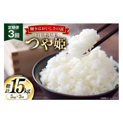 ふるさと納税 米 つや姫 山形県 高畠町 米 定期便 3回 令和7年産 特別栽培米 つや姫 5kg 本田勇仁 山形県 高畠町 tk06bgj910006 お米 白米 精米 ごはん ご飯 …