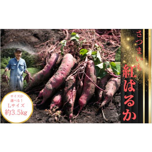 ふるさと納税 野菜類 サツマイモ 宮城県 涌谷町 さつまいも(紅はるか)Lサイズ 約3.5kg