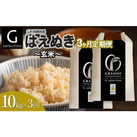 ふるさと納税 米 はえぬき 山形県 鶴岡市 令和7年産 新米 定期便3ヶ月 Gセレクション はえぬき「玄米」 10kg (5kg×2袋)×3ヶ月 山形県鶴岡市産 株式会社グ…