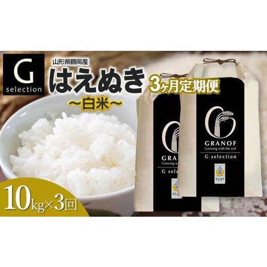 ふるさと納税 米 はえぬき 山形県 鶴岡市 令和7年産 新米 定期便3ヶ月 Gセレクション はえぬき「精米」 10kg (5kg×2袋)×3ヶ月 山形県鶴岡市産 株式会社グ…