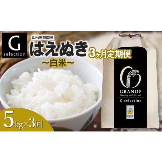 ふるさと納税 米 はえぬき 山形県 鶴岡市 令和7年産 新米 定期便3ヶ月 Gセレクション はえぬき「精米」 5kg (5kg×1)×3ヶ月 山形県鶴岡市産 株式会社グラノ…