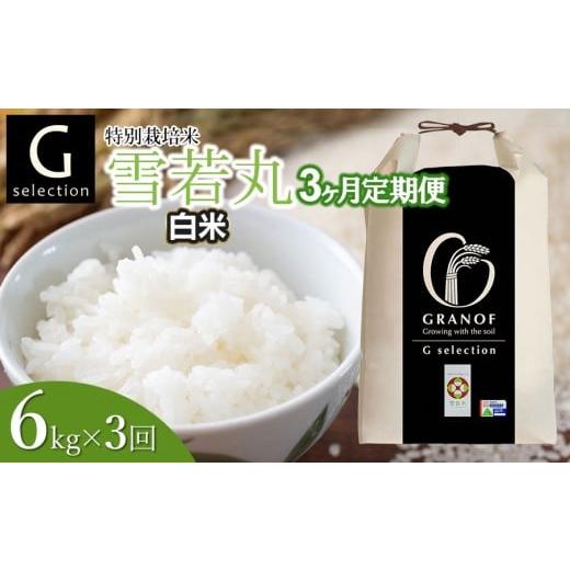 ふるさと納税 米 山形県 鶴岡市 令和7年産 新米 定期便3ヶ月 Gセレクション 雪若丸「精米」 6kg (6kg×1)×3ヶ月 山形県鶴岡市産 株式会社グラノフ