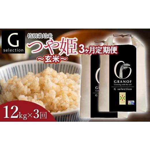 ふるさと納税 米 つや姫 山形県 鶴岡市 令和7年産 新米 定期便3ヶ月 特別栽培米 Gセレクション つや姫 玄米 12kg (6kg×2袋)×3ヶ月 山形県鶴岡市産 株式会…