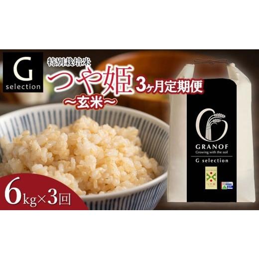 ふるさと納税 米 つや姫 山形県 鶴岡市 令和7年産 新米 定期便3ヶ月 特別栽培米 Gセレクション つや姫「玄米」 6kg (6kg×1)×3ヶ月 山形県鶴岡市産 株式会…