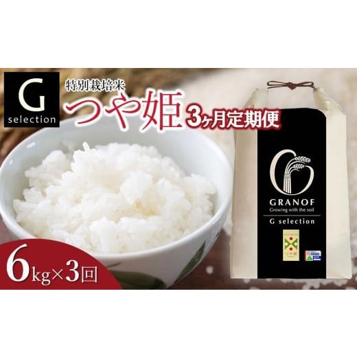 ふるさと納税 米 つや姫 山形県 鶴岡市 令和7年産 新米 定期便3ヶ月 特別栽培米 Gセレクション つや姫「精米」 6kg (6kg×1)×3ヶ月 山形県鶴岡市産 株式会…