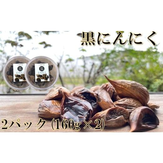ふるさと納税 野菜類 山形県 小国町 黒にんにく(2パック×160g)