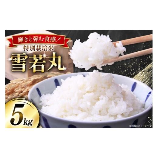 ふるさと納税 米 山形県 高畠町 米 令和7年産 特別栽培米 雪若丸 5kg 本田勇仁 山形県 高畠町 tk06bgj910000 お米 白米 精米 ごはん ご飯 ブランド米