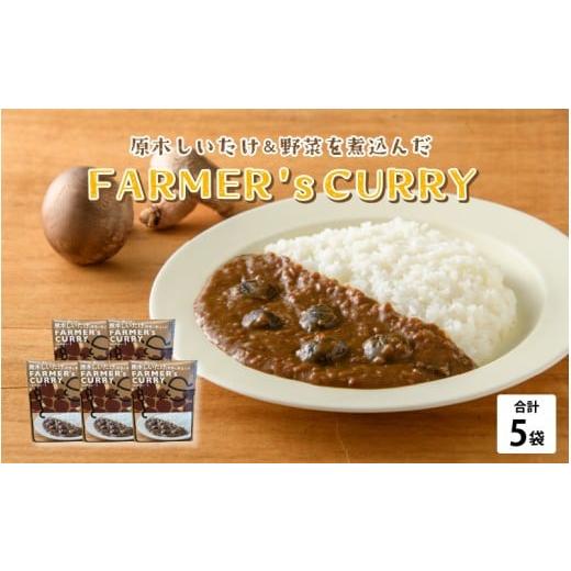 ふるさと納税 惣菜・レトルト 福井県 鯖江市 農家がつくったFARMER'sCURRY 200g(1袋)×5袋 B-05004 / カレー レトルトカレー 椎茸 お手軽 時短料理 グ…