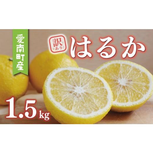 ふるさと納税 みかん・柑橘類 愛媛県 愛南町 数量限定 先行予約 訳あり はるか 1.5kg 5000円 お試し 少量 みかん mikan 蜜柑 ミカン 国産 産地直送 農家直送 …