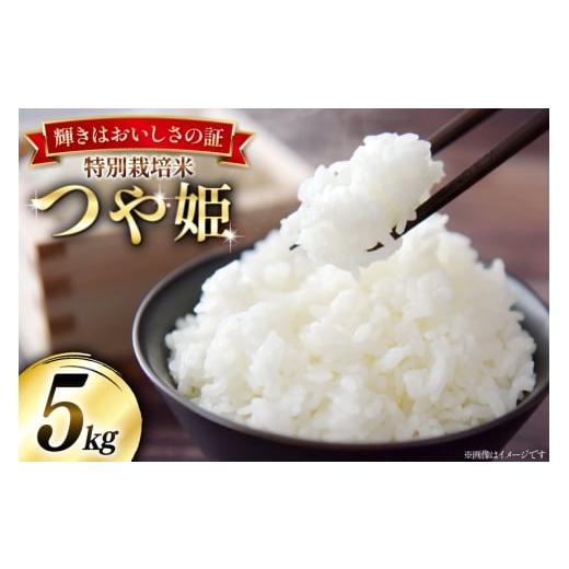 ふるさと納税 米 つや姫 山形県 高畠町 米 令和7年産 特別栽培米 つや姫 5kg 本田勇仁 山形県 高畠町 tk06bgj910004 お米 白米 精米 ごはん ご飯 ブランド米