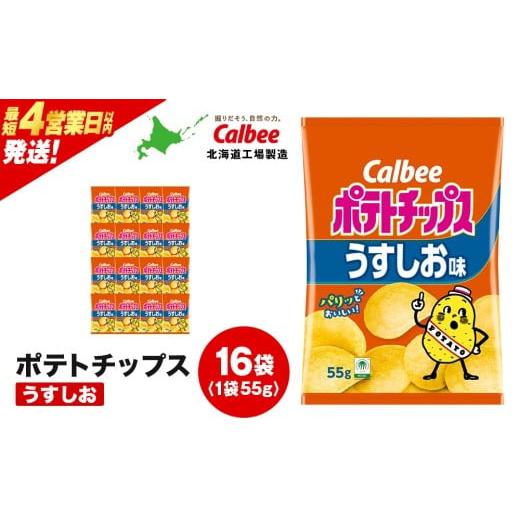 ふるさと納税 菓子 スナック 北海道 千歳市 カルビーポテトチップス うすしお 16袋入×1箱[北海道工場製造]
