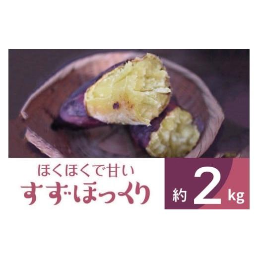 ふるさと納税 野菜類 サツマイモ 茨城県 行方市 2025年度産 ホクホクで甘いさつまいも すずほっくり 約2kg|さつまいも 芋 お芋 すずほっくり 渋谷農園 茨城県…