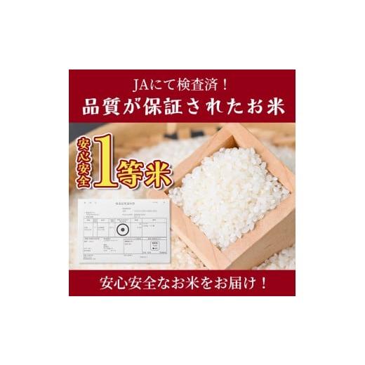 ふるさと納税 米 北海道 士別市  E7108 《定期便・全4回》上士別清流米 ななつぼし (5kg×4回・計20kg) 米 お米 精米 白米 北海道米 ごはん ななつぼし 北海道…の画像