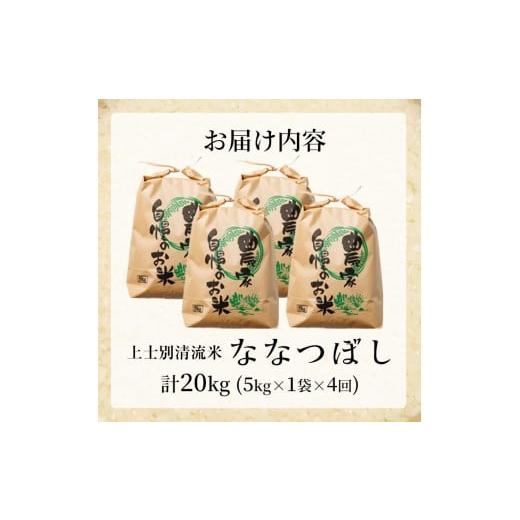 ふるさと納税 米 北海道 士別市  E7108 《定期便・全4回》上士別清流米 ななつぼし (5kg×4回・計20kg) 米 お米 精米 白米 北海道米 ごはん ななつぼし 北海道…の画像