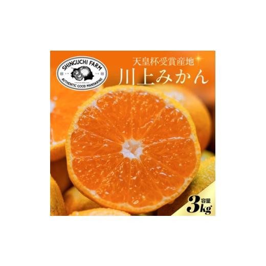 ふるさと納税 果物類 みかん 愛媛県 八幡浜市 天皇杯受賞産地 川上みかん 3kg 小玉 愛媛県八幡浜市 新口農園厳選 A70-121 1683965