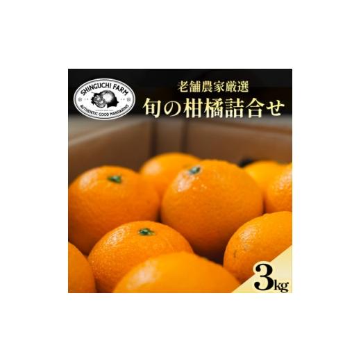 ふるさと納税 みかん・柑橘類 デコポン 愛媛県 八幡浜市 愛媛みかんの老舗厳選 旬のプレミアム柑橘 詰め合わせ 3kg D70-129 1684313
