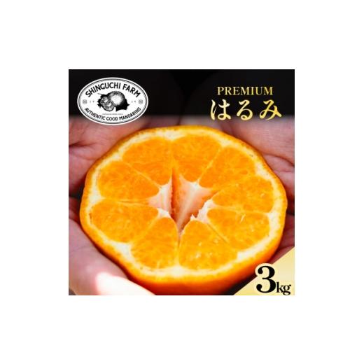 ふるさと納税 みかん・柑橘類 愛媛県 八幡浜市 老舗農家が見極めたプレミアム はるみ3kg 希少・プチプチ食感 C70-130 1684351