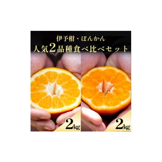 ふるさと納税 みかん・柑橘類 愛媛県 八幡浜市 伊予柑+ぽんかん 愛媛人気2品種食べ比べ 各2kg D70-132 1684431