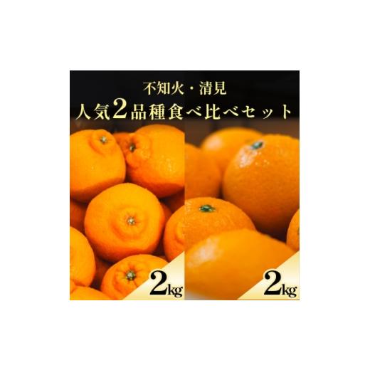 ふるさと納税 みかん・柑橘類 愛媛県 八幡浜市 不知火+清見 愛媛人気2品種食べ比べ 各2kg D70-133 1684456