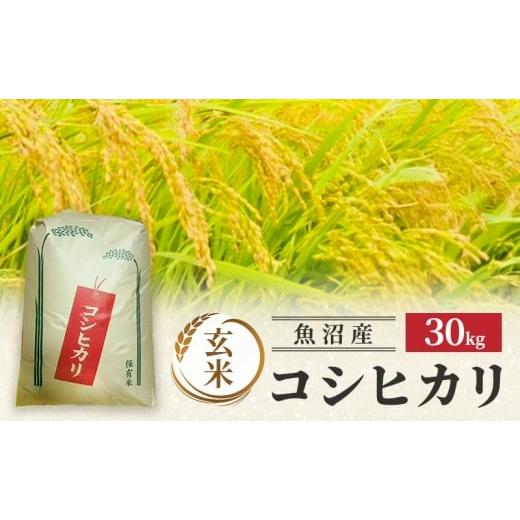 ふるさと納税 玄米 新潟県 魚沼市   令和7年産 魚沼産コシヒカリ(玄米)30kg 米 コメ こしひかり ブランド米 お取り寄せ 魚沼市