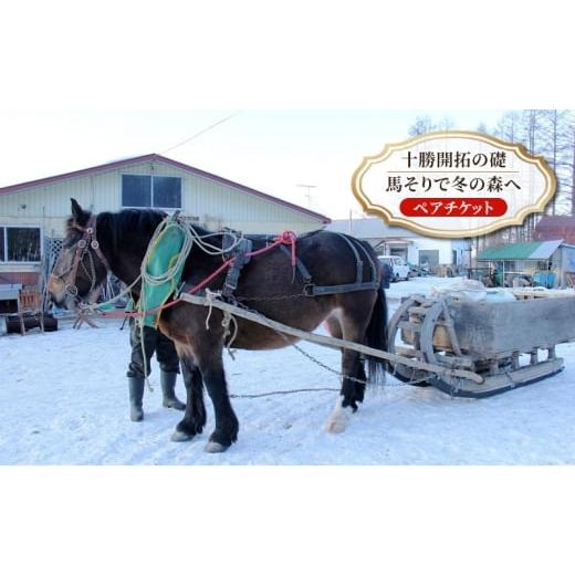 ふるさと納税 体験チケット 北海道 幕別町 北海道 十勝 幕別町 十勝開拓の礎 馬そりで冬の森へ[ ペア チケット ] 牧場 見学 ツアー 体験型 旅 旅行 イベン…