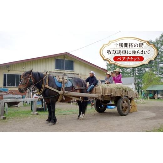 ふるさと納税 体験チケット 北海道 幕別町 北海道 十勝 幕別町 十勝開拓の礎 牧草馬車にゆられて[ ペア チケット ] 牧場 見学 ツアー 体験型 旅 旅行 イベ…