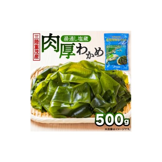 ふるさと納税 のり・海藻 わかめ 岩手県 宮古市 三陸重茂産わかめ 湯通し塩蔵 肉厚わかめ 500g 1685341