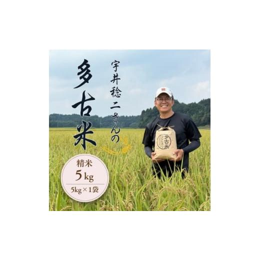 ふるさと納税 米 千葉県 多古町 多古米セレクション 宇井稔二さんの多古米コシヒカリ 精米 5kg 令和7年産 1683125