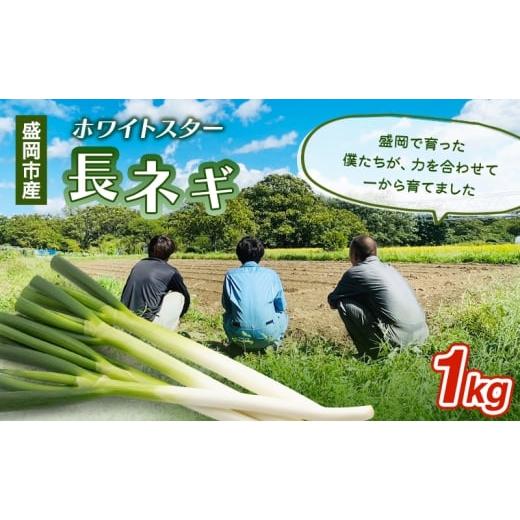 ふるさと納税 野菜類 ねぎ 岩手県 盛岡市 岩手県盛岡市産長ネギ 1kg ねぎ 新鮮 野菜 長ネギ 白ネギ 長ねぎ 白ねぎ 葱 国産 甘い 美味しい おいしい 鍋