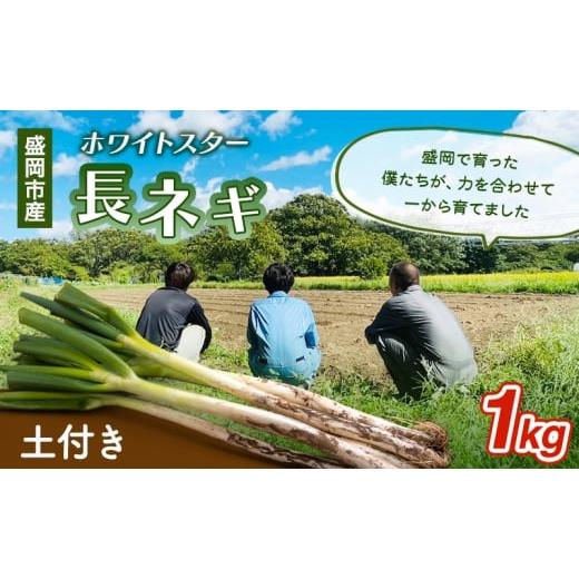ふるさと納税 野菜類 ねぎ 岩手県 盛岡市 岩手県盛岡市産土付き長ネギ 1kg ねぎ 新鮮 野菜 長ネギ 白ネギ 長ねぎ 白ねぎ 葱 土付き 国産 甘い 美味しい おいし…
